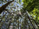 Lot 159 Westridge Drive - Photo 8