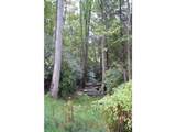 Lot 16 Sunset Falls Drive - Photo 12