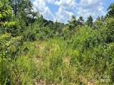 1824 Brushy Creek Road - Photo 6