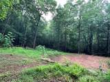 TBD Staghorn Road - Photo 16