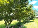 25 Norman Road - Photo 47