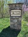 44 Samuel Ashe Drive - Photo 7