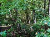 35 Ladys Fern Trail - Photo 6