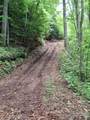 0 Sometimes Creek Road - Photo 11