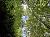 0 Sometimes Creek Road - Photo 12
