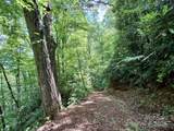 0 Sometimes Creek Road - Photo 13