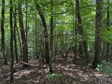 TBD Pine Burr Drive - Photo 11