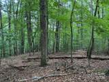 TBD Pine Burr Drive - Photo 3