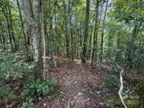 TBD Pine Burr Drive - Photo 6