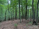 TBD Pine Burr Drive - Photo 8