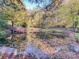 215 Crossvine Trail - Photo 4