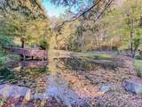215 Crossvine Trail - Photo 10