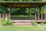 25 Elkins Branch Road - Photo 31