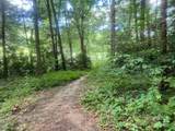 0 Mountain River Place - Photo 10