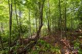 Lot # 2 Masterpiece View Drive - Photo 15