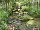 3617 Lonesome Mountain Road - Photo 40