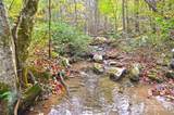 3617 Lonesome Mountain Road - Photo 44