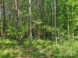 0000 Bills Creek Road - Photo 17