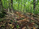 TBD Red Fox Ridge - Photo 15