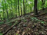 TBD Red Fox Ridge - Photo 16