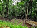 TBD Red Fox Ridge - Photo 17