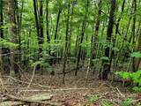 TBD Red Fox Ridge - Photo 6