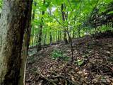 TBD Red Fox Ridge - Photo 7