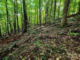 TBD Red Fox Ridge - Photo 8
