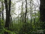 313 Line Runner Ridge Road - Photo 12