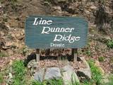 313 Line Runner Ridge Road - Photo 38