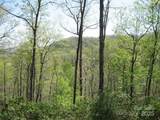 313 Line Runner Ridge Road - Photo 5