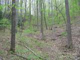 313 Line Runner Ridge Road - Photo 7