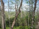 313 Line Runner Ridge Road - Photo 8