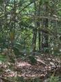 66 Boone Cove Road - Photo 3