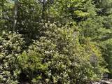 66 Boone Cove Road - Photo 6
