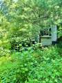 287 Indian Camp Creek Road - Photo 2