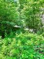 287 Indian Camp Creek Road - Photo 3
