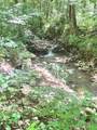 287 Indian Camp Creek Road - Photo 4