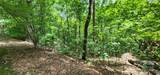 5 LOTS White Oak Mountain Road - Photo 23