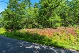 TBD Mckenzie Way - Photo 32
