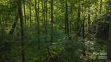 0 Brushy Mtn Road - Photo 8