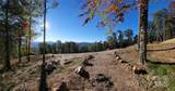 TBD Nicholas Knoll Road - Photo 13