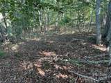Lot 332 Scenic Vista Drive - Photo 12