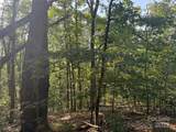 Lot 332 Scenic Vista Drive - Photo 13