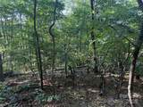 Lot 333 Scenic Vista Drive - Photo 11