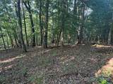 Lot 333 Scenic Vista Drive - Photo 6