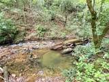 226 Wildcat Mountain Trail - Photo 43