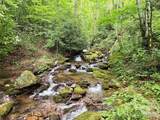 226 Wildcat Mountain Trail - Photo 44