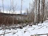 0000 Lot 78 Black Bear Crossing - Photo 2