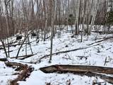 0000 Lot 78 Black Bear Crossing - Photo 3